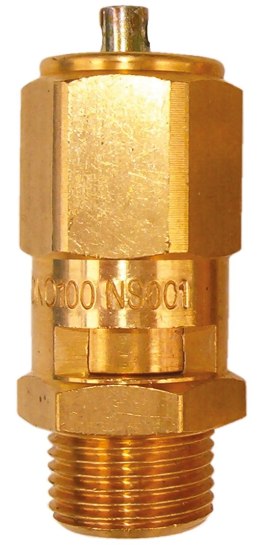 Zawór bezpieczeństwa 10bar 1/4